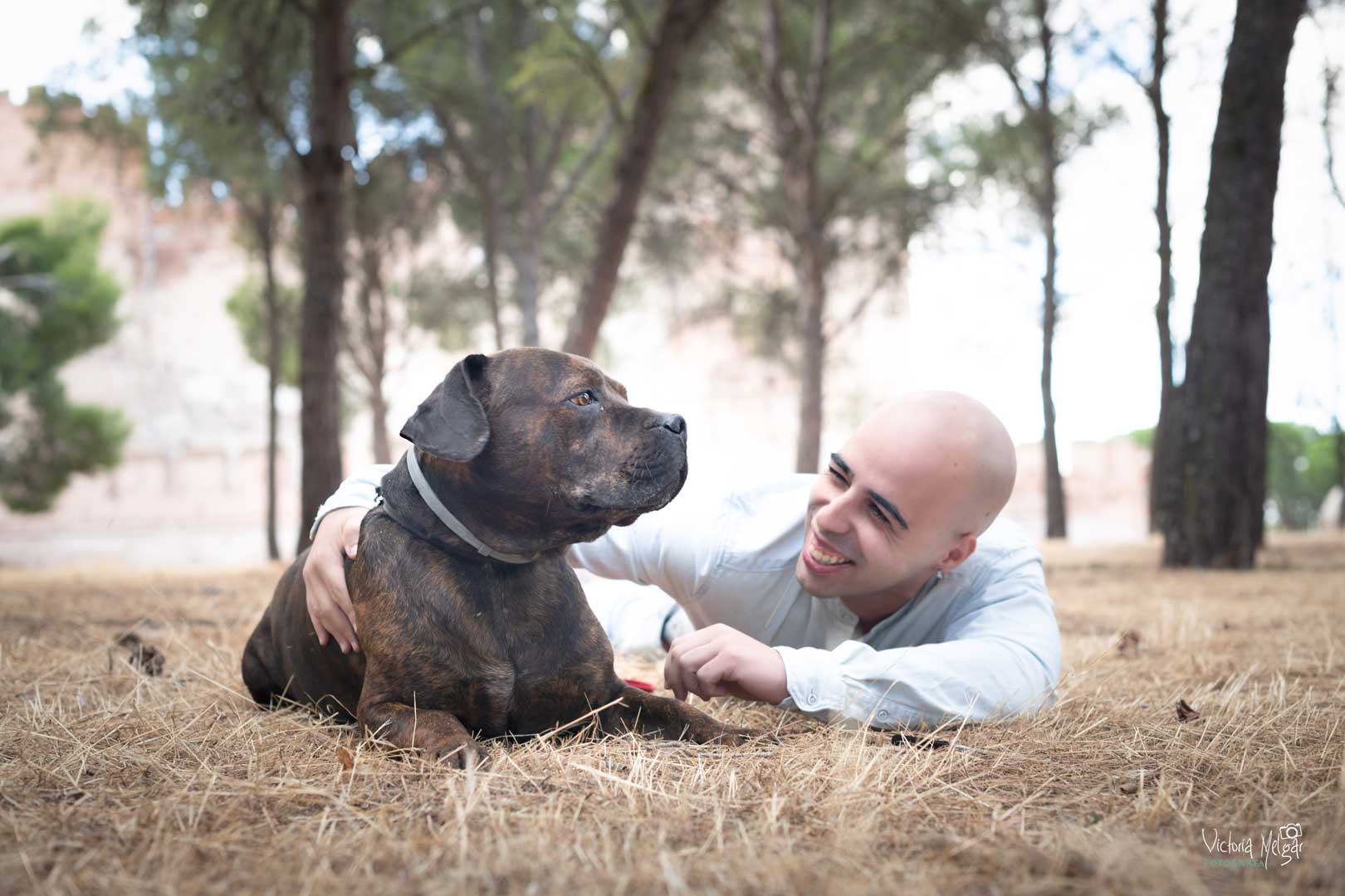 Cupra reportaje de mascota victoria melgar reportajes de mascotas en Valladolid