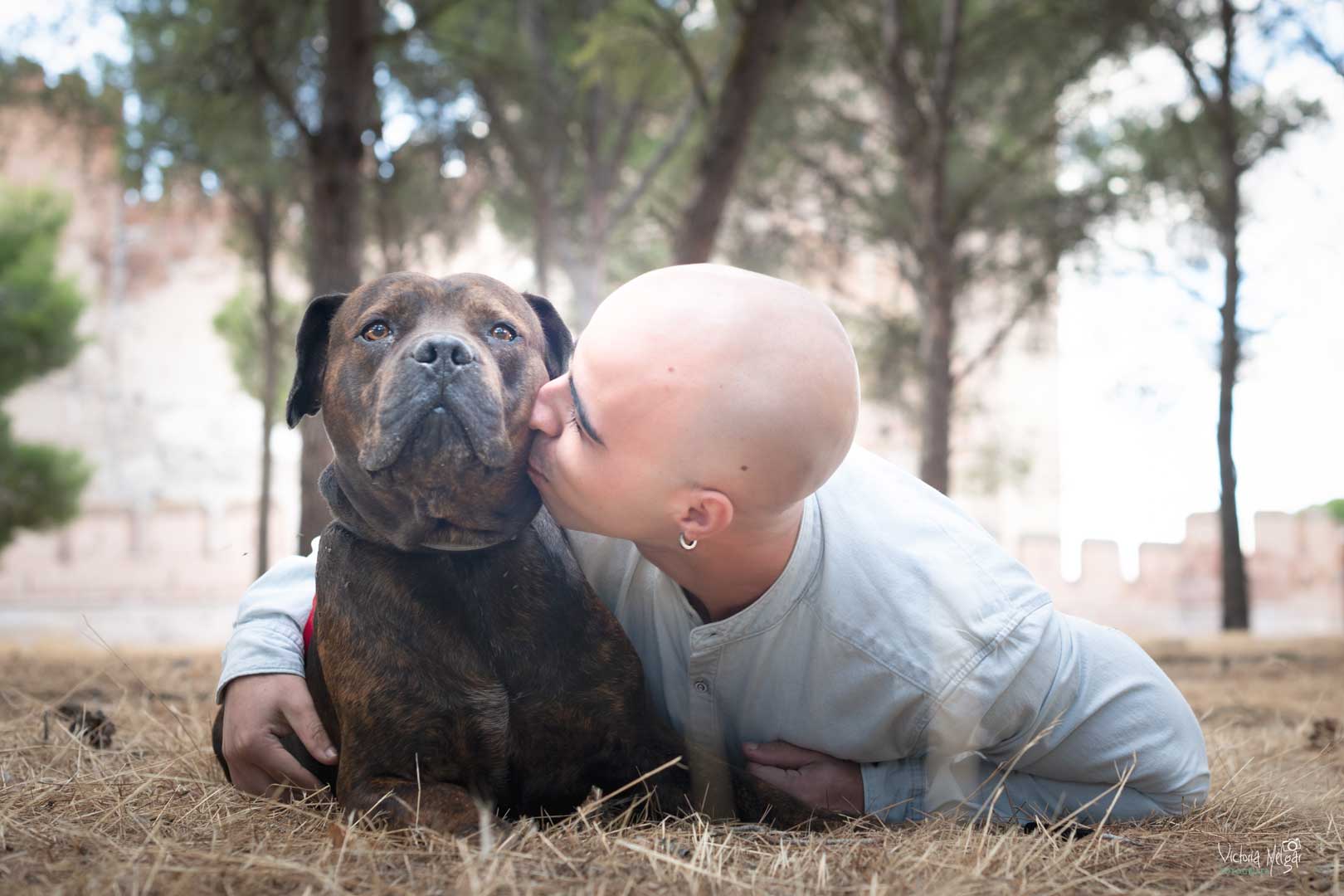 Cupra reportaje de mascota victoria melgar reportajes de mascotas en Valladolid