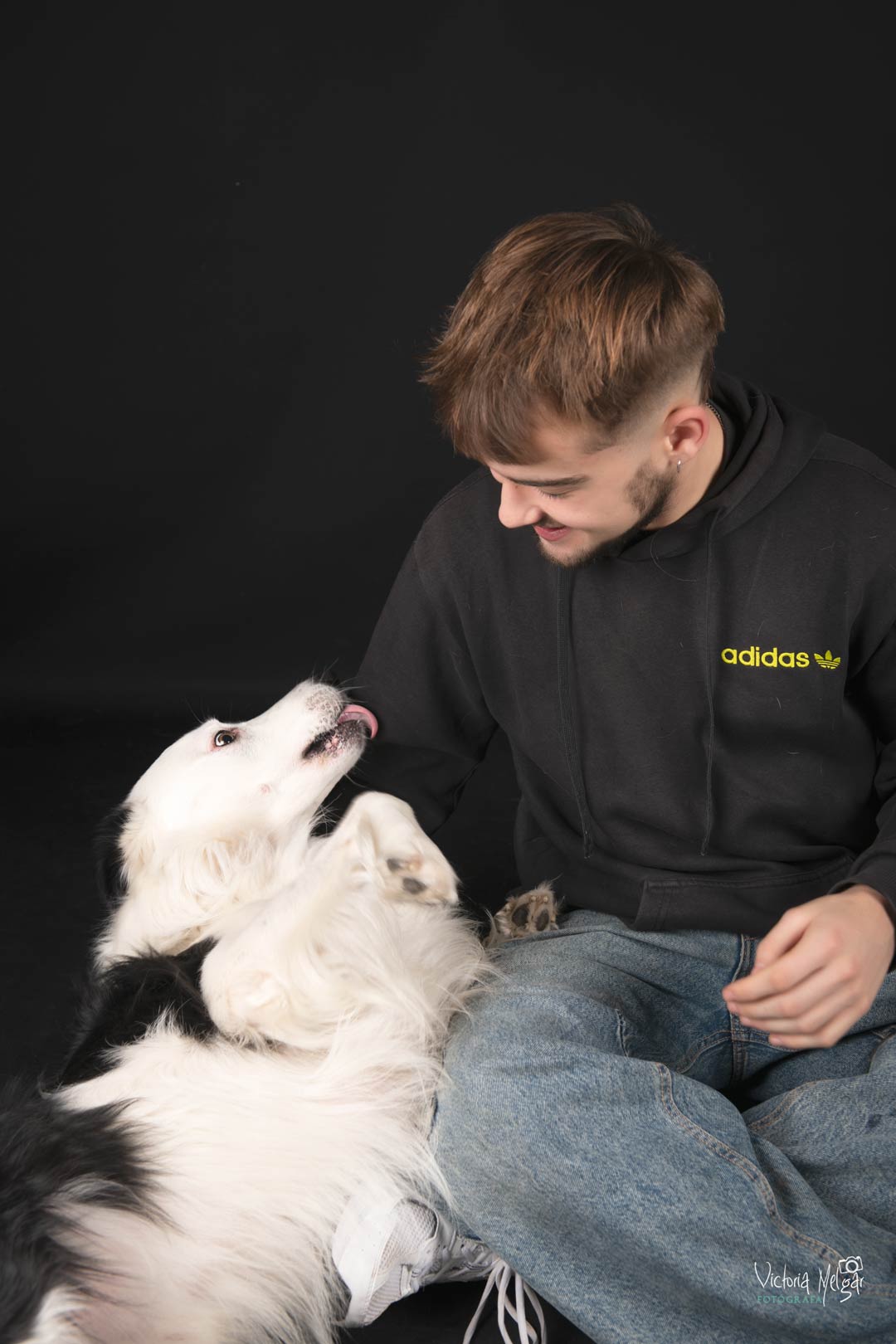 Locky reportaje de mascota victoria melgar reportajes de mascotas en Valladolid